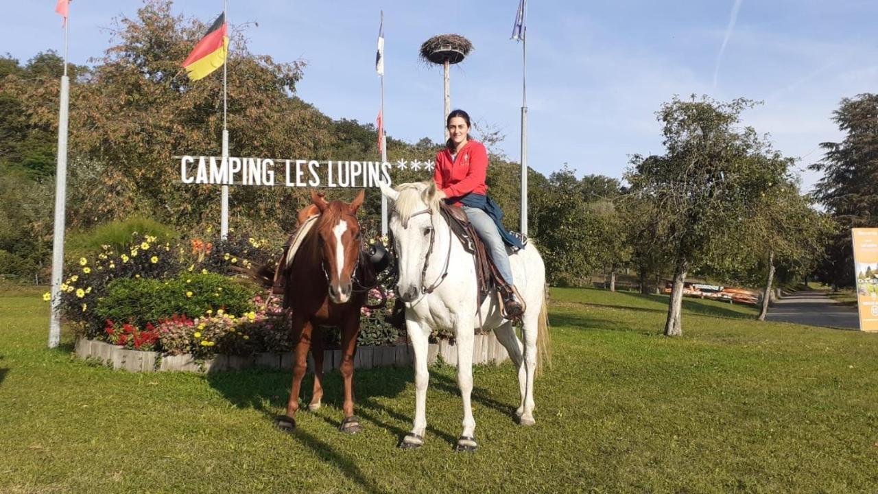 Camping Les Lupins Seppois-le-Bas Екстериор снимка