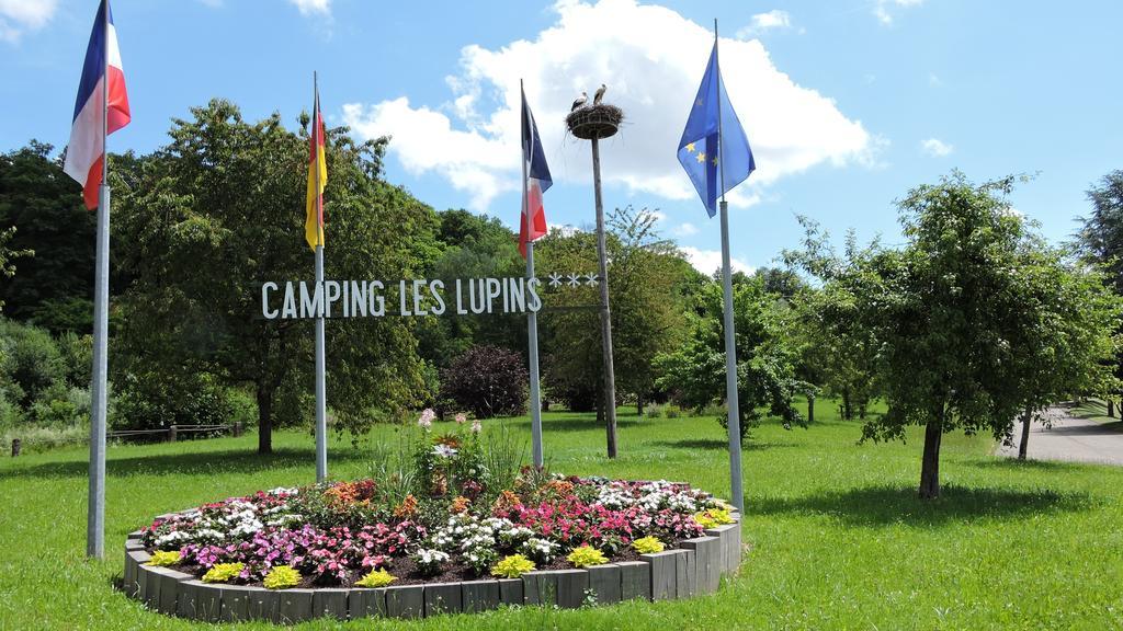 Camping Les Lupins Seppois-le-Bas Екстериор снимка